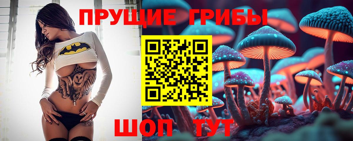 Галлюциногенные грибы прущие грибы  Вход с VPN  Галлюциногенные грибы Psilocybine cubensis  Карабулак 